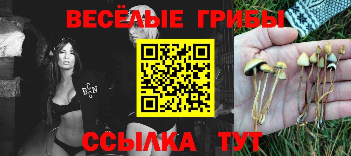 Галлюциногенные грибы ЛСД  Галлюциногенные грибы Cubensis  Вход с VPN  Жигулёвск 