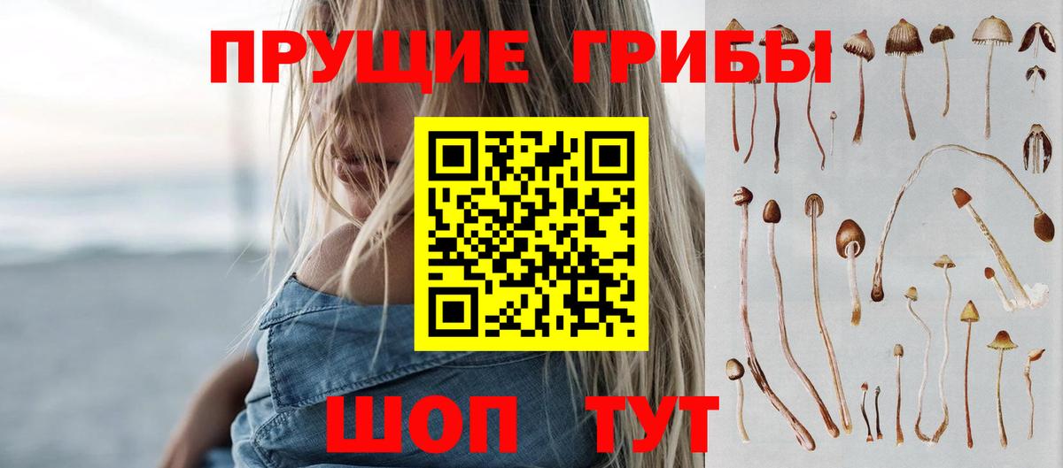 Галлюциногенные грибы мицелий Жигулёвск